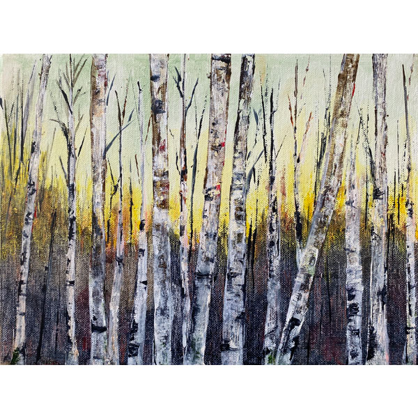 Birch Trees at Sunset
